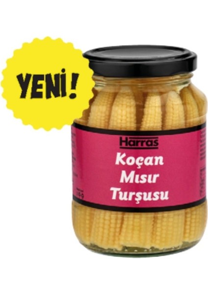 Koçan Mısır Turşusu Bebek Mısır Turşu Harras Mısır Koçanı Turşusu Harras Turşu