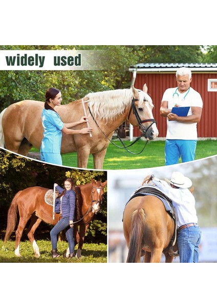 At Yüksekliği Ağırlık Bandı At Ölçme Bandı Pvc At Ölçme Çubuğu Hayvancılık Vücut Ölçme Aracı, 8.2 Feet Uzun (Yurt Dışından) fırsatları