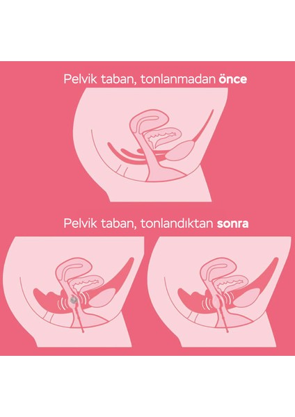 Enna Pelvic Ball - Pelvik Taban Kası Geliştirici