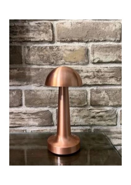 Ct 8430 Lizbon 3 Renk Şarjlı Masa Lambası fiyatları