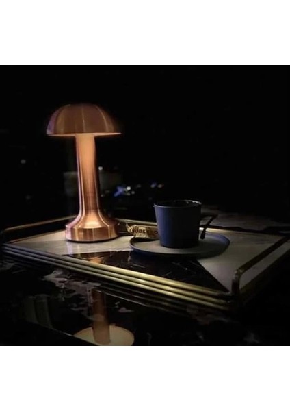 Ct 8430 Lizbon 3 Renk Şarjlı Masa Lambası modelleri