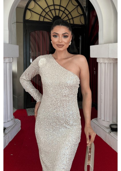 Pul Payet Kumaş Tek Kol Kalem Elbise - Gold modelleri