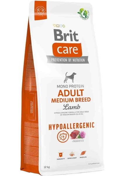 Hipoallerjenik Kuzu Etli Yetişkin Köpek Maması 12 kg