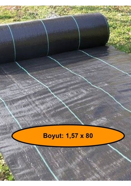 Jut Zemin Kaplama Malzemesi, Çim Çıkarmaz, 1,57X80 Metre