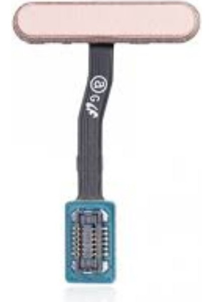 Samsung S10E Uyumlu Parmak Izi Okuyucu Filmi