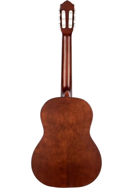 R55DLX Student Series Pro Klasik Gitar (Natural) fiyatları