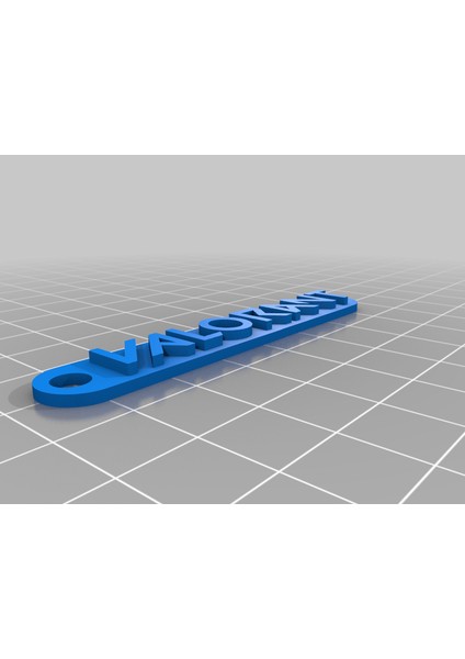 Valorant Anahtarlıkları ve Madeni Para (Sadece Plastik Aparattır) 3D