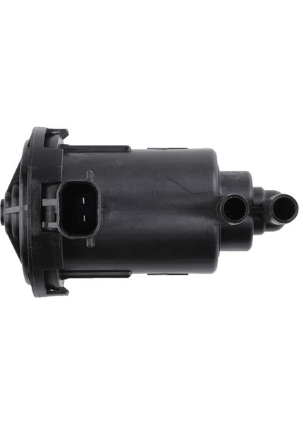 17113685 4669940AB Için Buharlaştırıcı Temizleme Solenoid Vanası (Yurt Dışından) modelleri