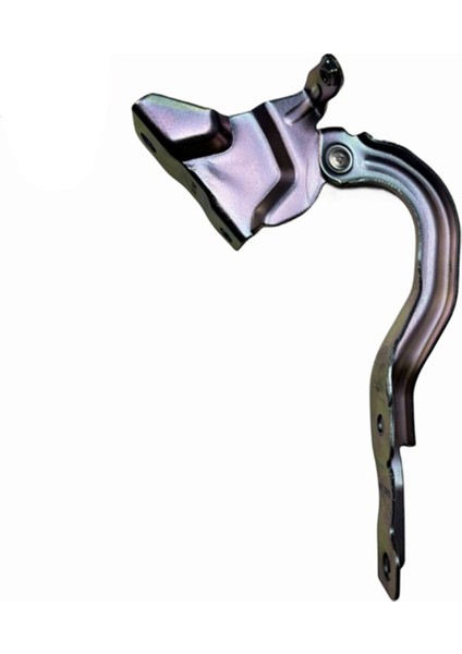 1 Çift Kaput Menteşesi Sürücü Yolcu Tarafı K2 1.4l 1.6l Için (Yurt Dışından) indirimleri