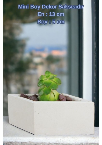 El Yapımı Saksı Seti Beyaz Dekoratif 6 Adet Saksı Küçük Boy Model 19 fiyatları