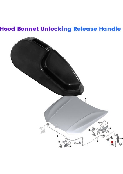 2 3 4 Serisi G20 G21 G22 G23 Için Araba Kaput Açma Kolu (Yurt Dışından)