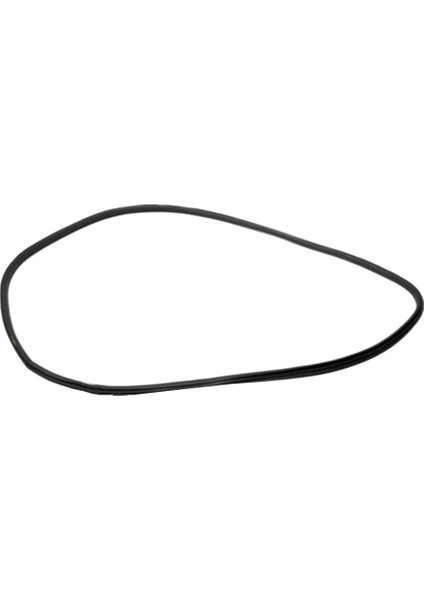 51337258329 F30 F30N F31 Için Ön Kapı Çerçevesi Hava Şeridi Contası (Yurt Dışından) modelleri