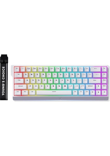 ACE68 E-Sport White %65 Hall Effect Ice Blue Manyetik Switch Rgb Hotswap Mekanik Gaming Klavye (MC-ACE68-15)