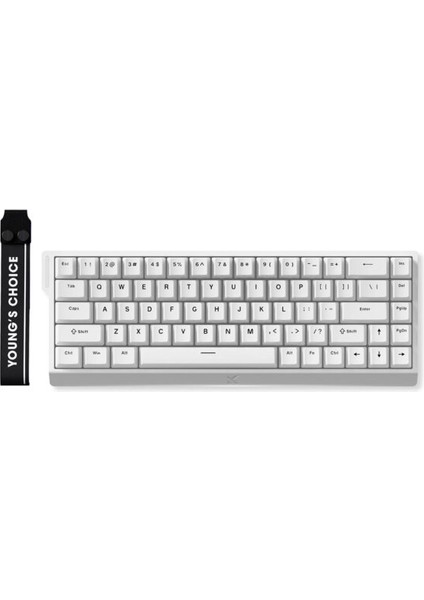 ACE68 E-Sport White %65 Hall Effect Ice Blue Manyetik Switch Rgb Hotswap Mekanik Gaming Klavye (MC-ACE68-15) fiyatları