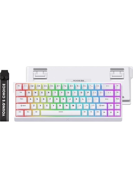 ACE68 E-Sport White %65 Hall Effect Ice Blue Manyetik Switch Rgb Hotswap Mekanik Gaming Klavye (MC-ACE68-15) modelleri
