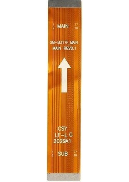 Samsung M31 S Uyumlu Ara Ekran Filmi LCD Flex