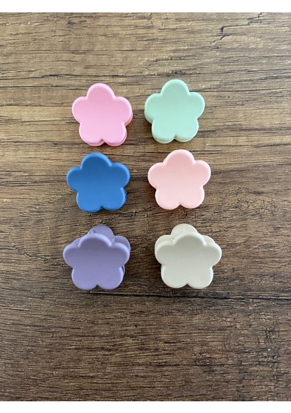 Kız Çocuk Kadın 6'lı Mandal Toka Seti Küçük Kıskaçlı Toka