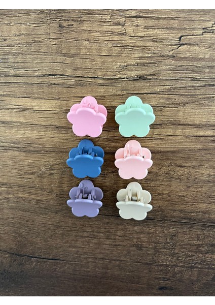 Kız Çocuk Kadın 6'lı Mandal Toka Seti Küçük Kıskaçlı Toka fiyatları