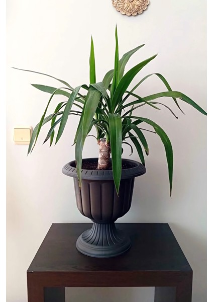 6 Litre Nergis Saksı Ayaklı Plastik Bahçe Balkon Saksısı No0 fırsatları
