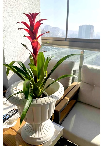 Nergis Saksı Ayaklı Plastik Bahçe Balkon Saksısı 6 lt indirimleri