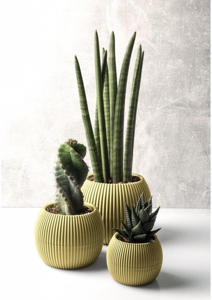 Krs Mercan Dekoratif Sukulent Kaktüs Plastik Saksı Takımı 3'lü Set Soft Sarı