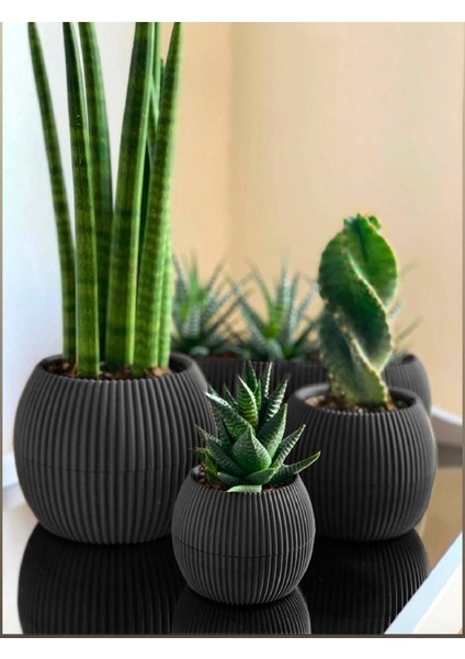 Krs Mercan Dekoratif Sukulent Kaktüs Plastik Saksı Takımı 3'lü Set Antrasit