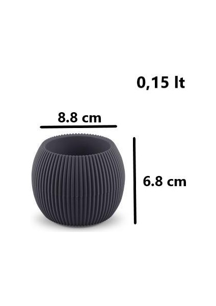 Krs Mercan Dekoratif Sukulent Kaktüs Plastik Saksı Takımı 3'lü Set Antrasit indirimleri