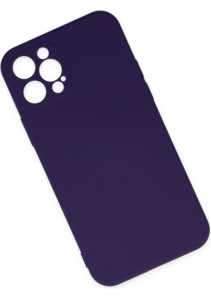 iPhone 12 Pro Max Kılıf Nano Içi Kadife Silikon - Mor - NFND4013-3428