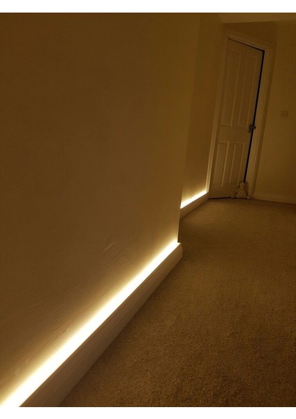 3 Metre Gün Işığı Neon Slikonlu LED