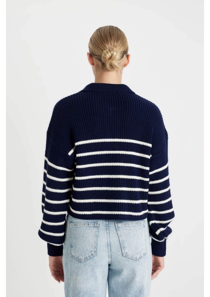 Relax Fit Polo Yaka Yarım Düğmeli Çizgili Triko Kazak C4918AX24WN