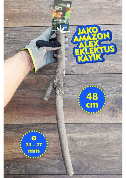 Venty Doğal Papağan Kafes Tüneği 48 cm | Jako, Amazon, Eklektus, Alexander, Kayık, Konur - T611