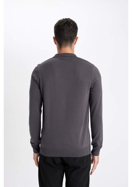 Standart Fit Normal Kesim Polo Yaka Yumuşak Dokulu Premium Triko Kazak D0454AX24AU