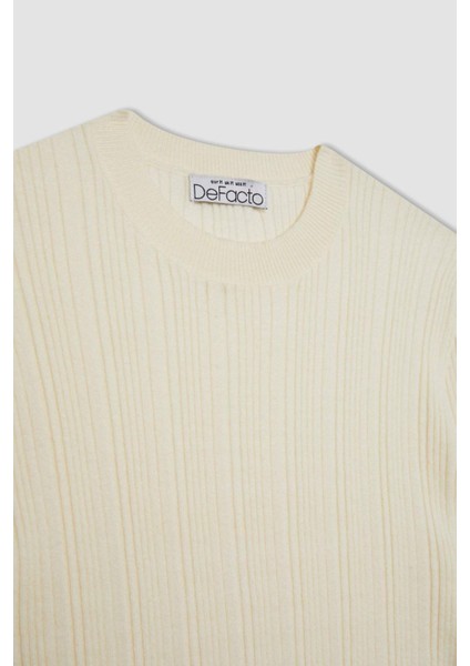 Slim Fit Dar Kesim Bisiklet Yaka Triko Kazak A2057AX24AU