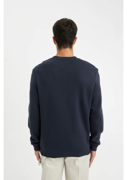 Regular Fit Bisiklet Yaka Kalın Basic Düz Sweatshirt T3777AZ24AU