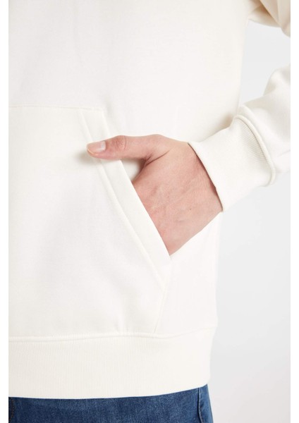 Boxy Fit Kapüşonlu Cepli Baskılı Sweatshirt D1780AX24WN