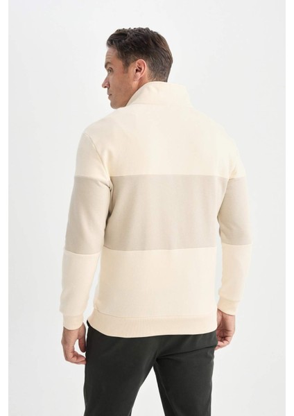 Comfort Regular Fit Rahat Kalıp Dik Yaka Fermuarlı Çizgili Kalın Sweatshirt D2401AX24AU