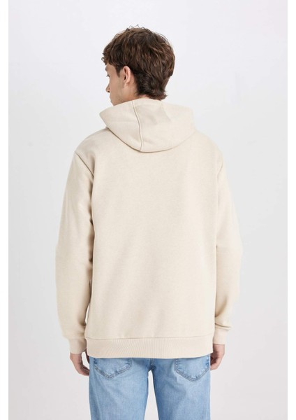 Regular Fit Kapüşonlu Baskılı Sweatshirt Y5286AZ24AU