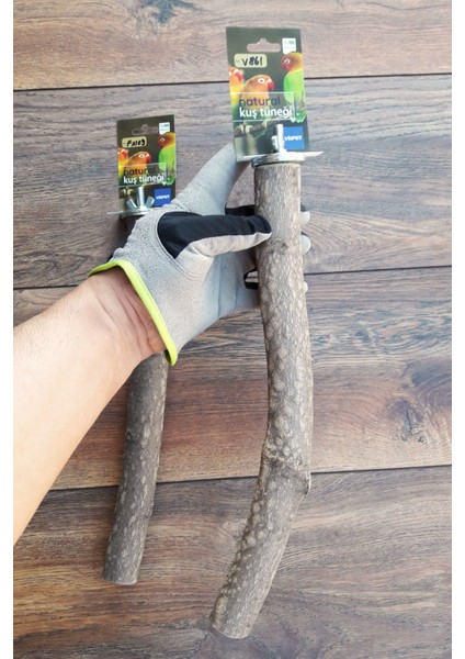 Venty 2'li Doğal Papağan Tüneği | Macaw, Kakadu, Jako, Amazon, Eklektus, Alexander, Kayık - M484 modelleri