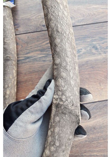 Venty 2'li Doğal Papağan Tüneği | Macaw, Kakadu, Jako, Amazon, Eklektus, Alexander, Kayık - M484 indirimleri