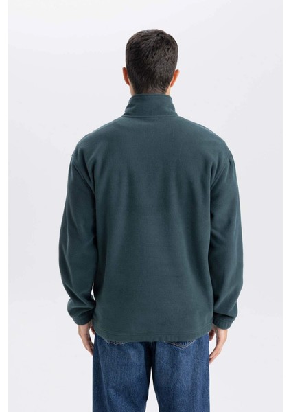 Relax Fit Dik Yaka Fermuarlı Polar Sweatshirt D2348AX24AU