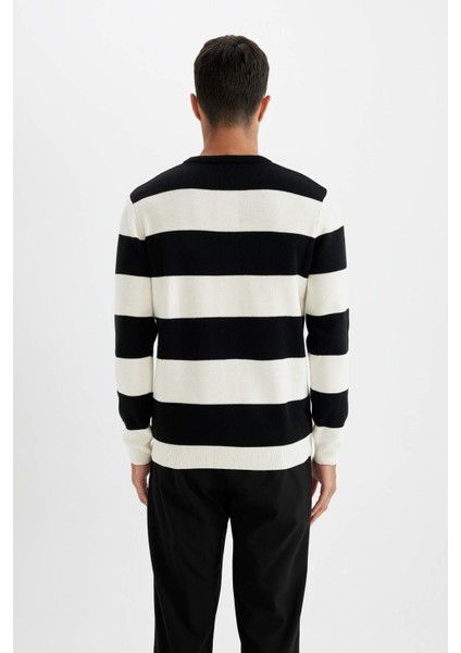 Standart Fit Normal Kesim Bisiklet Yaka Çizgili Triko Kazak D1968AX24AU