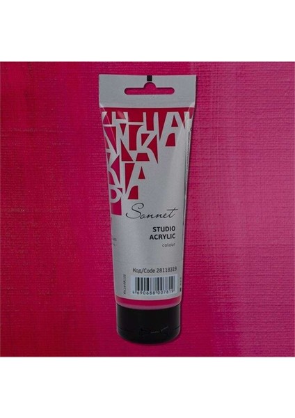 Sonnet Akrilik Boya 120 ml Carmine 319 fiyatları