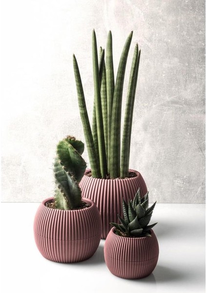 Krs Mercan Dekoratif Kaktüs Sukulent Plastik Saksı Takımı 3'lü Set Soft Pembe