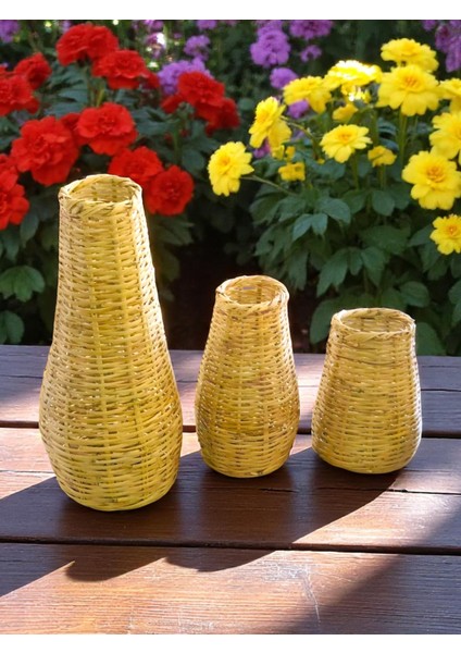 3lü Vazo - Pampas Çin Vazo - El Örmesi Doğal Vazo