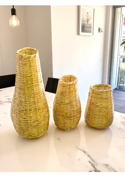 3lü Vazo - Pampas Çin Vazo - El Örmesi Doğal Vazo fiyatları