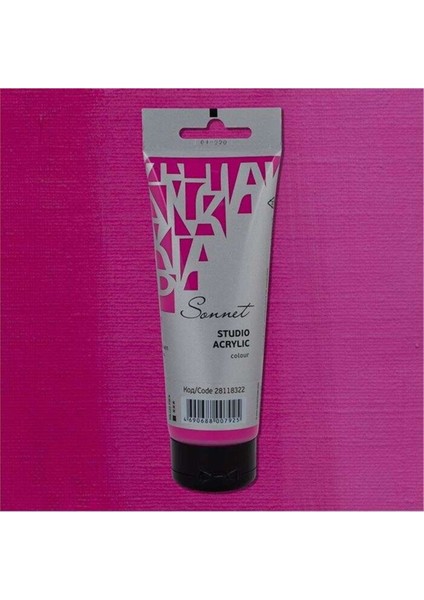Sonnet Akrilik Boya 120 ml Rose 322 modelleri