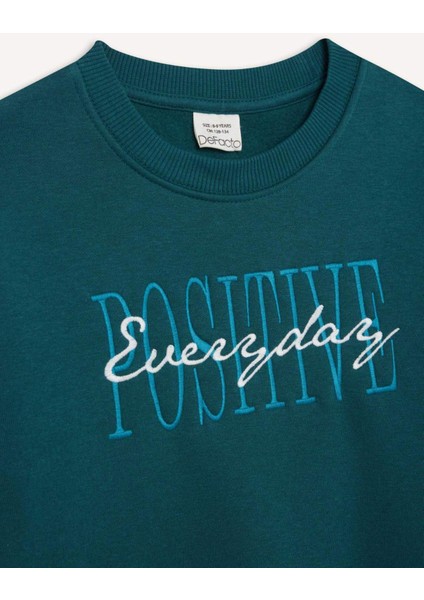 Erkek Çocuk Bisiklet Yaka Baskılı Sweatshirt D3036A824WN