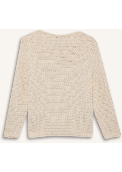 Regular Fit Bisiklet Yaka Dokulu Düğmeli Triko Hırka D3304AX24WN