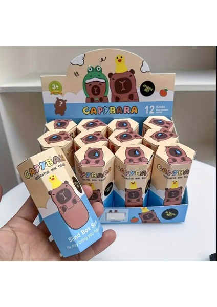 Capybara Sonny Angel Hippers Blind Box Kapibara Sürpriz Figür Charm Oyuncak Telefon Tablet Uyumlu(1 Adet)