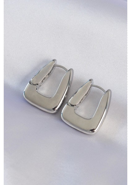 Bfs Pirinç Gümüş Renk Kalın Küpe